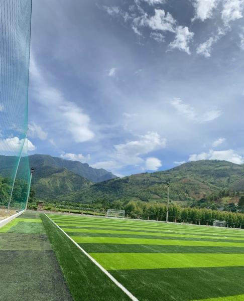 45mm Football Artificial Grass Turf 8000 Detex 1.28g/cm3
