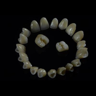 Tooth Multi Layered Zirconia Crown for Restorative Dentistry
