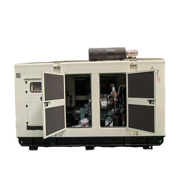 Best 312.5KVA Biogas CNG Power Genset Plant with Water Cooled Method and Remote Start