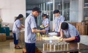 JIAXING VIIPLUS INTERNATIO NAL CO.,LTD