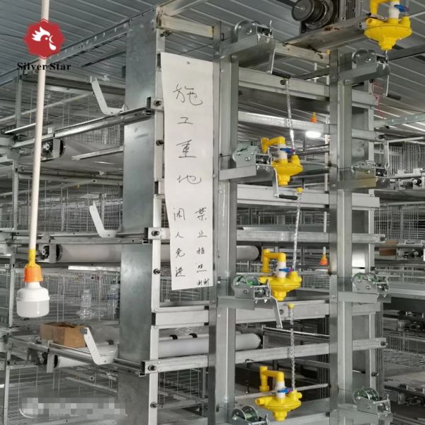 Poultry Cage/cages for Laying Hens Used/chicken Breeding Equipment