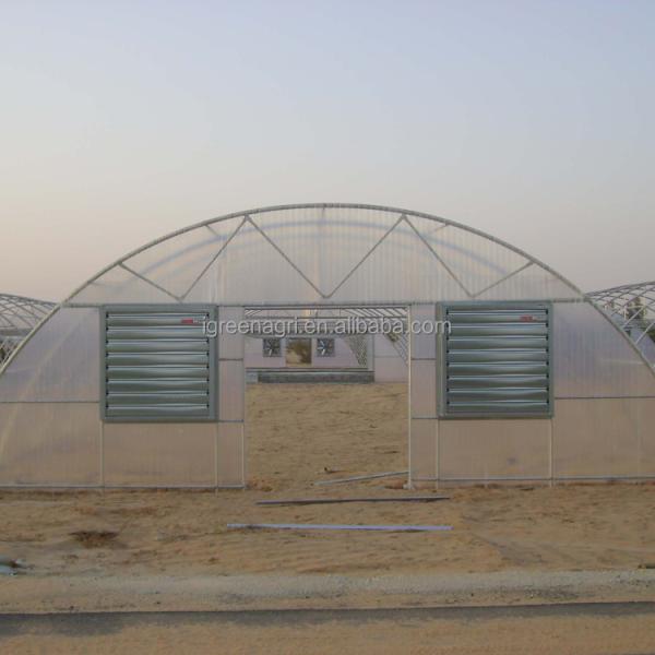 IGreen Small Single Layer Agricultural Greenhouse with Film Cover for Middle East & Gulf Countries and Desert Climate