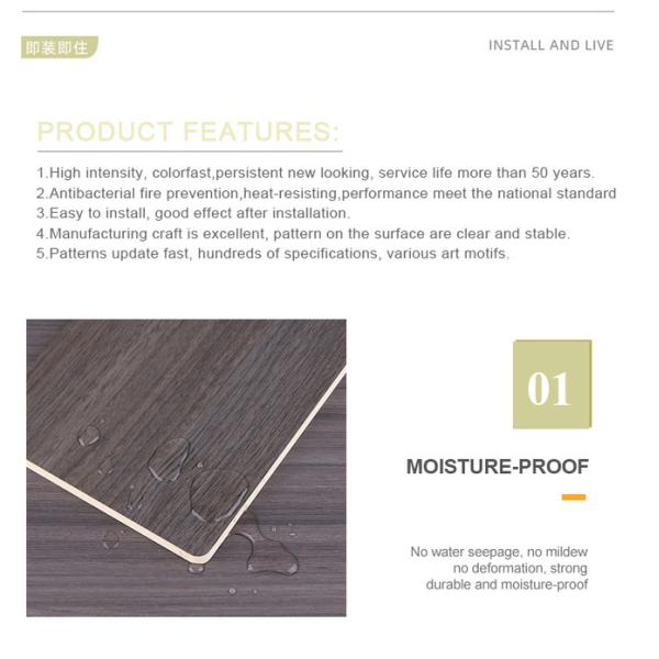 Прямая связь с розничной торговлей фабрики дружественной к Эко и непахучей кожи чувствует панели стены PVC