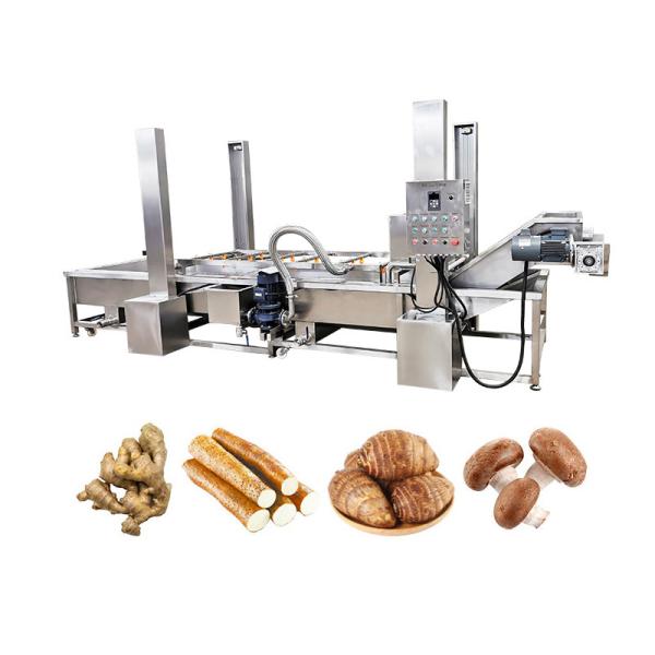 380v/220v/ Máquina de lavar bolhas de mandioca personalizável para lavar frutas e legumes