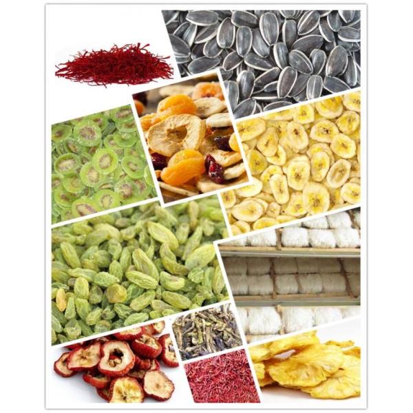 Fire - Proof Industrial Hot Air Dryer Raisin Drying Oven Equipment