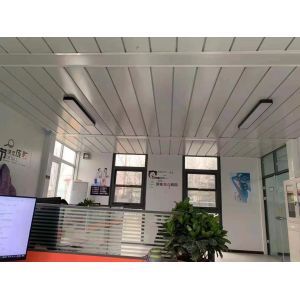 Weifang Wanlong Steel Structure Co., Ltd.