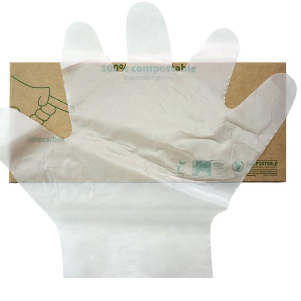100% Compostable Gloves, Cornstarchgloves, Food Service Disposable Gloves, Food Prep Cooking Gloves, Eco-Friendly