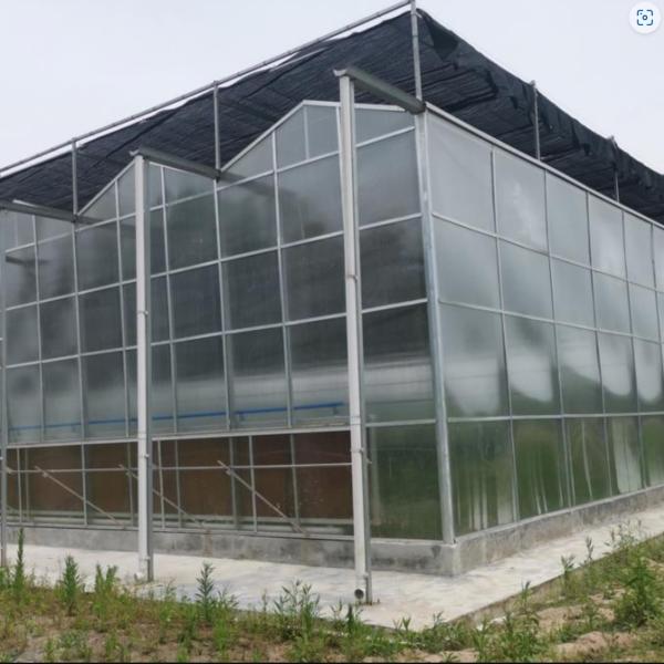 Intelligent Venlo - Type  Aluminum profile customized  polycarbonate  Greenhouse With Shading Systems