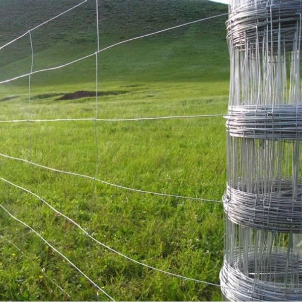 Galvanized cattle fence grassland fence  guardrail cattle sheep pig pen  livestock and poultry pasture fence