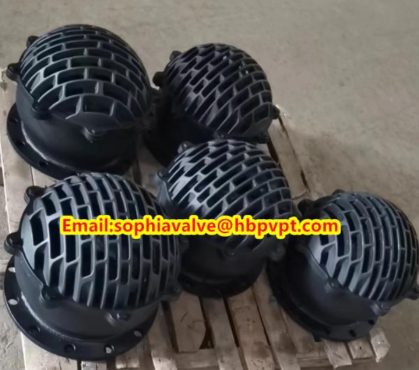 Size DN200 resilient seal blue flanged foot valve factory