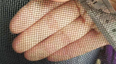 Custom Width Epoxy Coated Wire Mesh