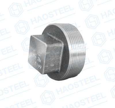 ANSI Industrial Pipe Forged Socket Plug ANSI B16.9 Equal Shape