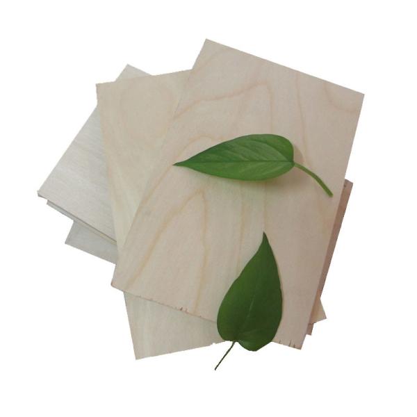 Full Poplar Core E0 Glue CARB  Birch Faced Plywood