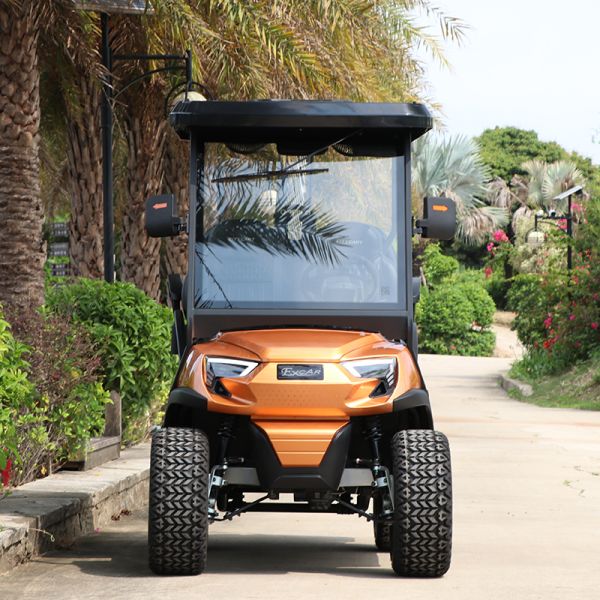Strong and Elegant 2 Front Seats & 2 Rear Electric Golf Carts Carried 5KW Motor & 48V Lithium Battery