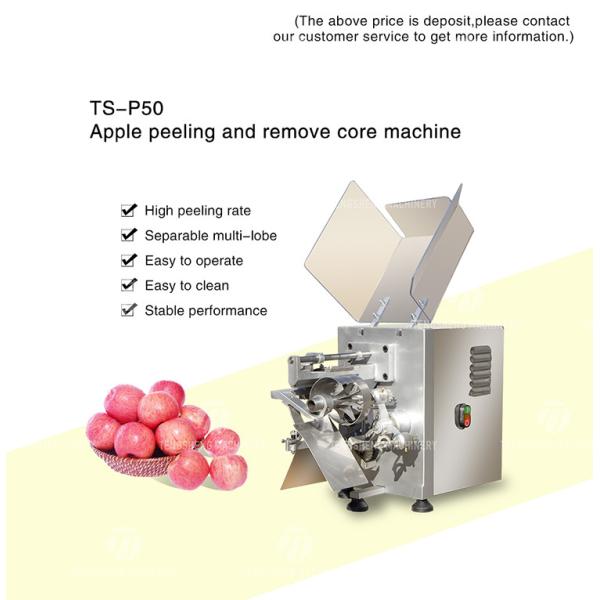 220V изготовленный на заказ коммерчески плод Peeler, электрическое Яблоко Peeler и машина Tengsheng Corer