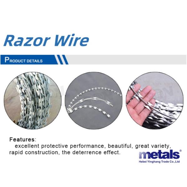 Fios de barbear de Concertina revestidos de PVC verde 450 mm Círculo exterior para vedação de segurança