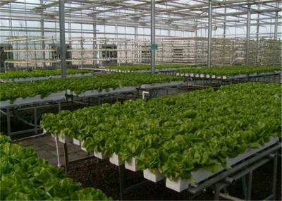 Good Ventilation Greenhouse Rolling Benches , Greenhouse Seedbed System 1.2 - 5.0mm Diameter