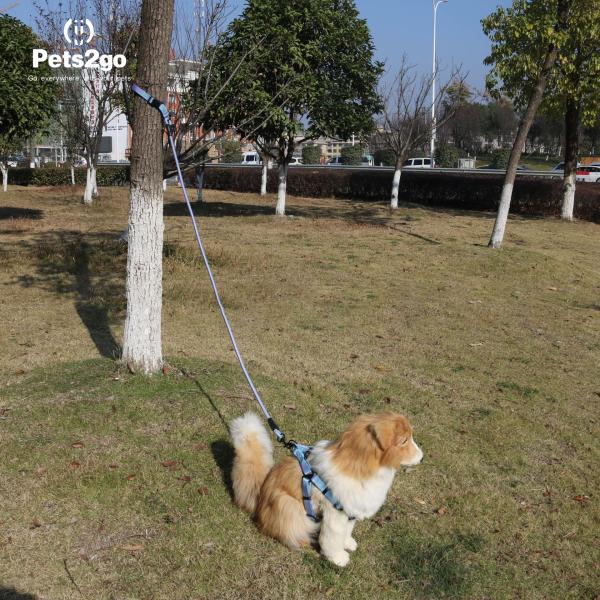 Магазин игры Ativity заплел ведущий канат любимца 500x1cm XL