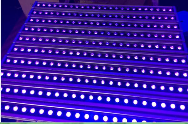 IP65 LED Wall Wash Light