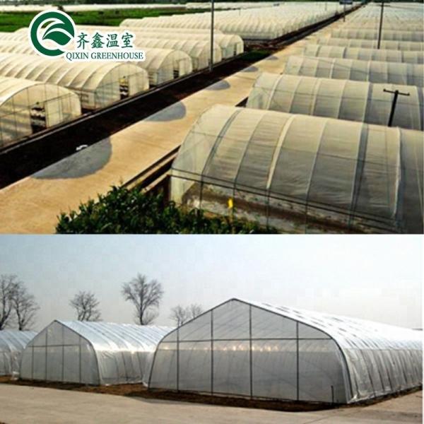 Hydroponic Supplies for Single-Span Greenhouses Cooling Irrigation Ventilation and More