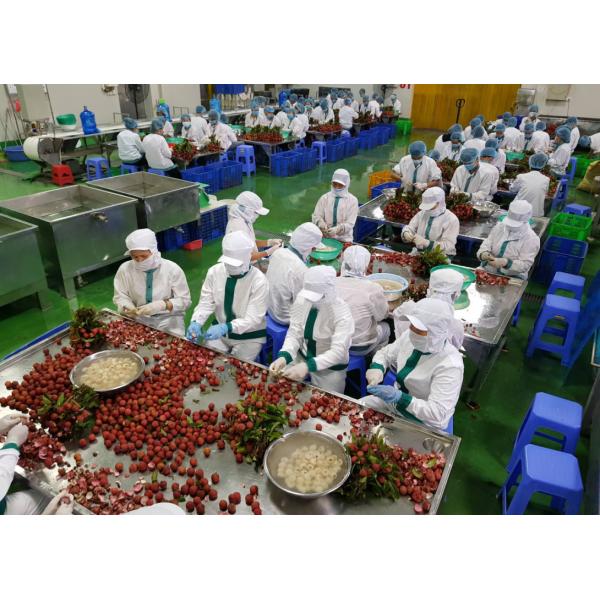 El lichi conservó el conjunto/roto del lichí de las legumbres de frutas en jarabe ligero