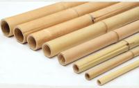 Estacas de bambu naturais amigáveis Polos Cannes 16cm Dia With Different Size de Eco