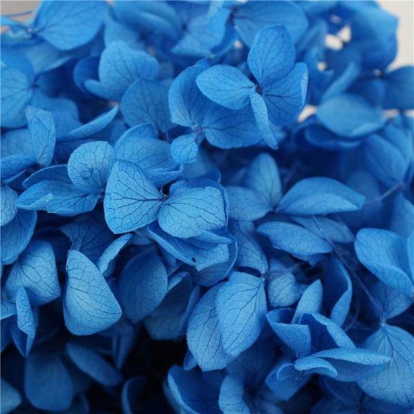 Real Touch Flower Gift Box Environmental Protection For Events Decoration