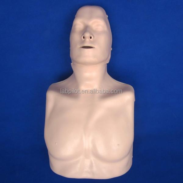 Simple Type First Aid Half Body CPR Training Manikin for School Training Facility