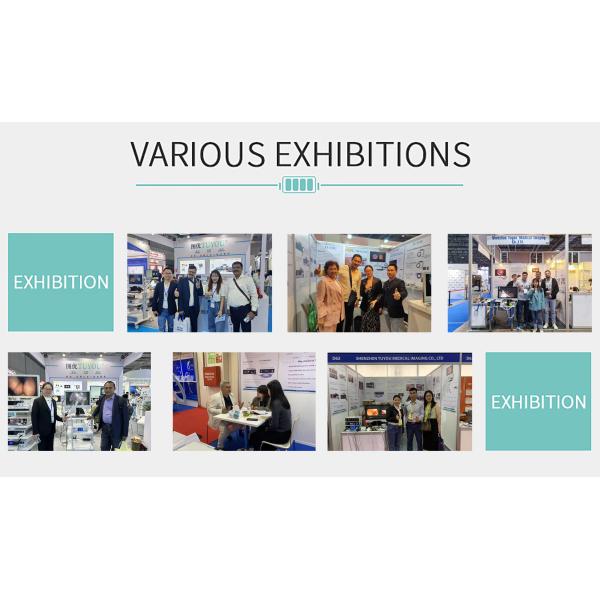 Metal Construction Tuyou FHD 2 in 1 Rigid Endoscope Camera System with Cold Light Source for ENT Cystoscopy Surgery