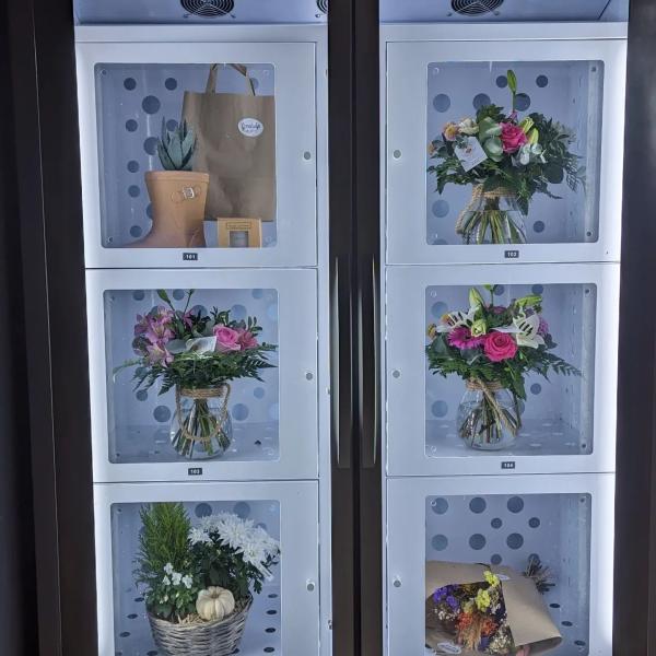 Máquina automática de arrefecimento de 24 horas por dia para flores frescas