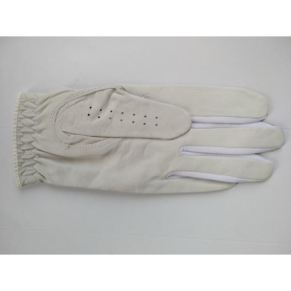 golf glove , golf gloves , glove , gloves