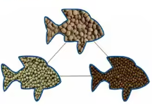 Excellent Fish Feed Production Equipment Supplier -Saibainuo