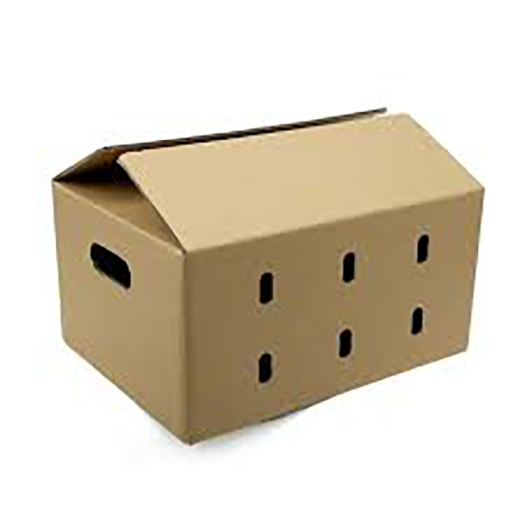 Durable Kraft Paper Cartons with Customization Options for E-commerce Packaging and Shipping Solutions