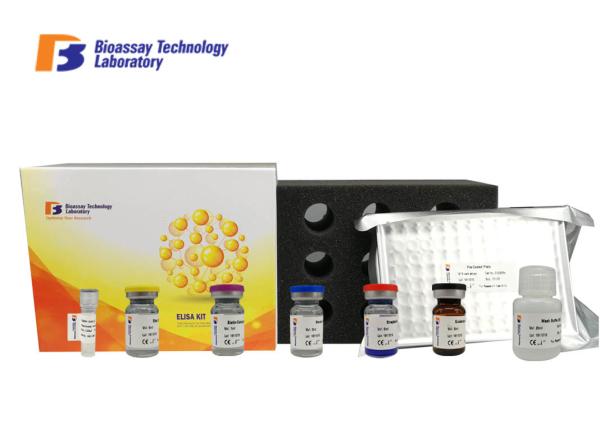 High Sensitivity and Specificity Rat KIM-1 Sandwich Elisa Kit For Accurate Quantitative Detection