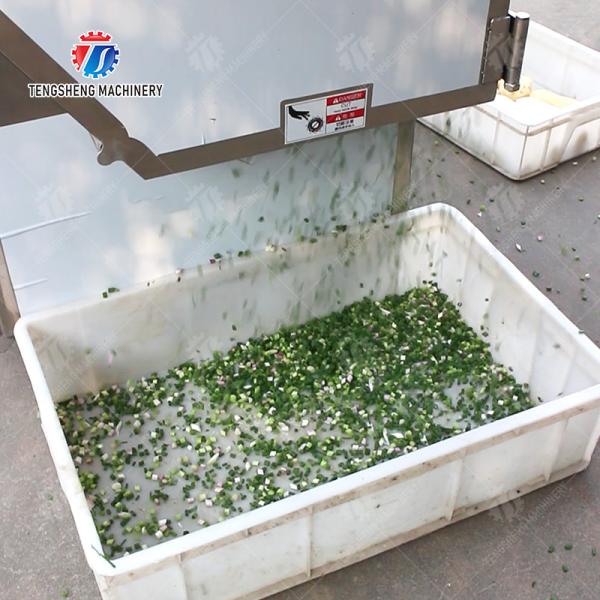 Double head vegetable cutting machine papaya chieh qua pumpkin wax gourd Ginger Potato Carrot radish Taro Sweet potato Yam onion Greens Lettuce Cao Xin Baby Cabbage Chinese Cabbage Cabbage processing