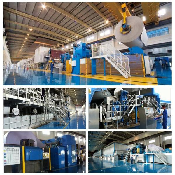 White Offset Paper 55gsm 60gsm FSC Approved White And Neat Offset Paper For Office Paper In Sheets