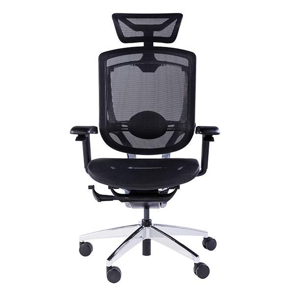 GTCHAIR Marrit X Lumbar Support Ergonomic Chair High Back Mesh Office Chair