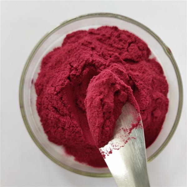 Wholesale Elderberry Powder For Instant Tea Powder