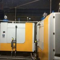 Straw Fired Greenhouse Boiler Environmentally amigável para a indústria química
