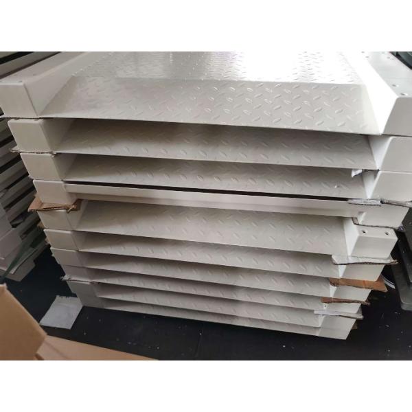 Platform Carbon Steel 0.8x1.2m 300kg Electronic Weighing Scales Digital Wheel Chair Scale