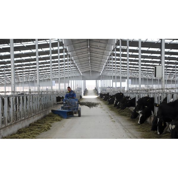 2.5 - 4.5 Meters Steel Structure Poultry House Chicken Coop Steel Frame EN1990