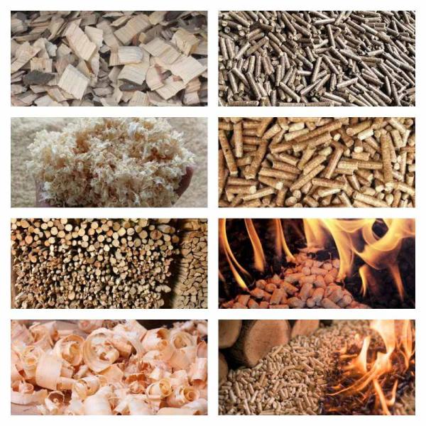 Создателя лепешки гранулятора окомкователя отопление домов машины лепешки деревянного коммерчески деревянное