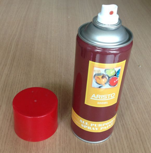 Multi Purposes Aerosol Spray Paint for Interior and Exterior