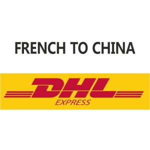 Sea Freight Logistics