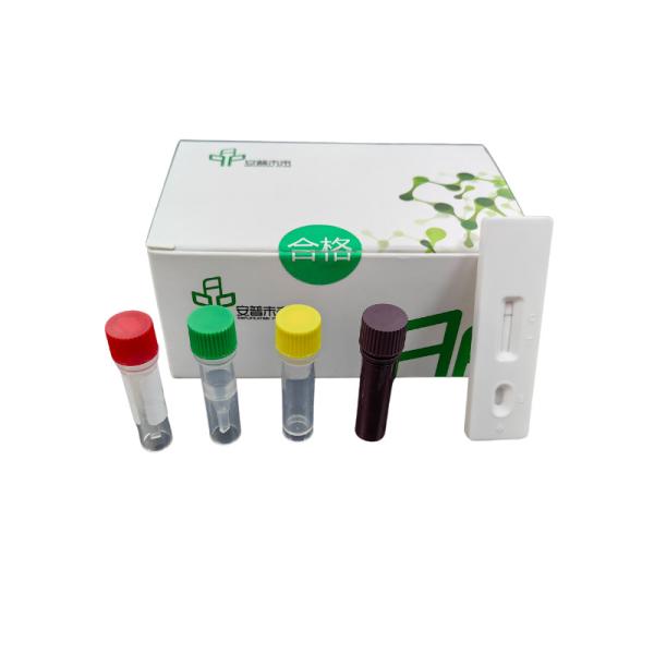 Targeting Canine Parvovirus Animal Disease Kit High Detection
