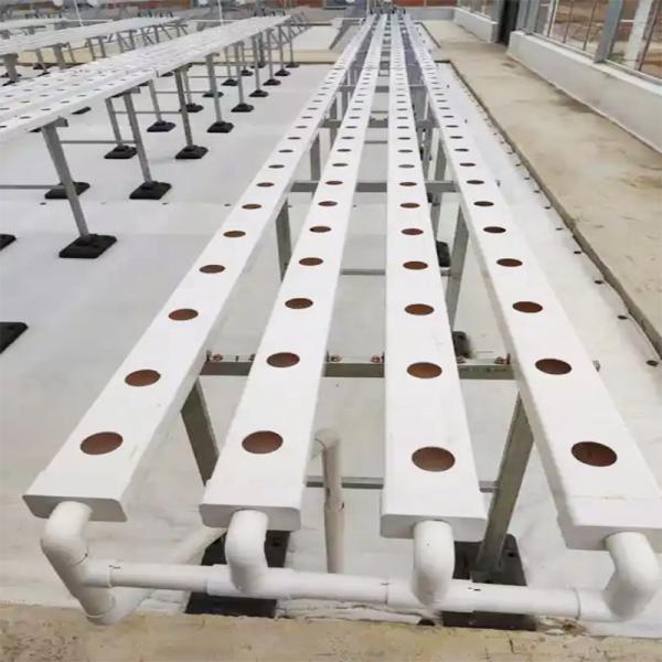 Nursery Greenhouse Hydroponic Pipe NFT Farm with Vertical Aeroponics System Pouch Holes