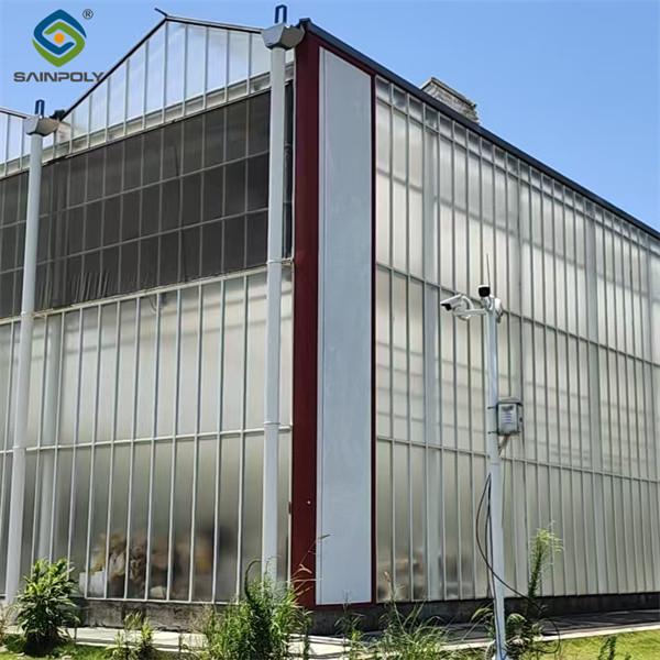 Agricultural Polycarbonate Multi Span Greenhouse Venlo Style 30-60m Length