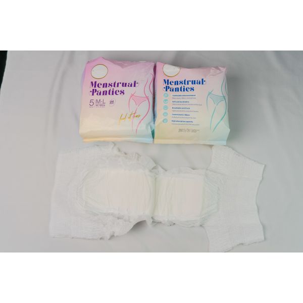 Elastic Waistband Overnight Period Panties M L Period Overnight Underwear With Wings