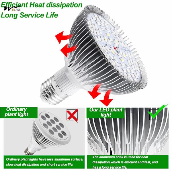 Plantes d'intérieur, légumes, fleurs, jardin, serre, succulente, lampe à LED à 50 W, à spectre complet avec UV et IR