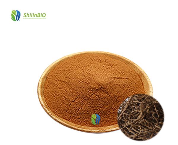 High Quality  Valerian Root Extract Powder Valeric Acid 0.3%-0.8% 